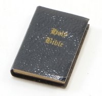 (image for) Holy Bible