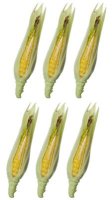 (image for) Corn