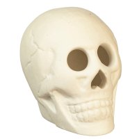 (image for) Halloween Skull