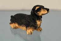 (image for) Dachshund, Black and Tan