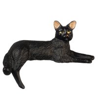 (image for) Black Cat Leg Down