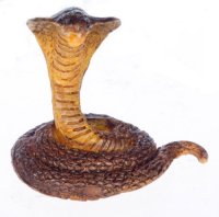 (image for) Forest Cobra