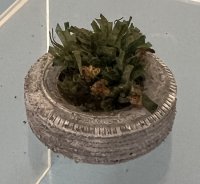 (image for) Tire Planter