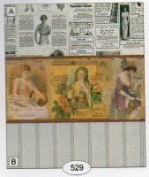 (image for) Victorian Advertisement 529