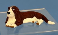 (image for) Basset Hound