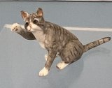 (image for) Gray striped cat with raised paw
