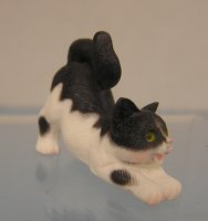 (image for) Black and White Stretching Cat