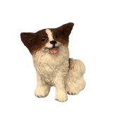 (image for) Papillon, Dark Brown and White