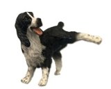 (image for) Naughty Dog