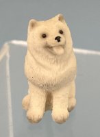 (image for) Samoyed