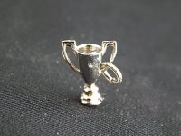 (image for) Tiny Silver Trophy Charm