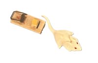(image for) Mouse with Mouse Trap