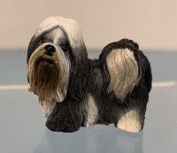 (image for) Shih Tzu