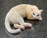 Addy/white Laying Cat