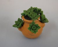 (image for) Terra Cotta Strawberry Jar with Succulents