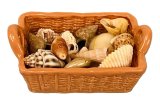 (image for) Basket of sea shells