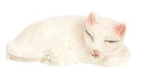 (image for) White Cat Sleeping