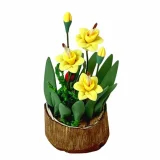 Daffodils In A Half Moon Tub (image for) Daffodils In A Half Moon Tub