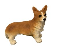 (image for) Corgi
