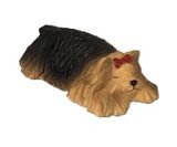Sleeping Yorkie (image for) Sleeping Yorkie