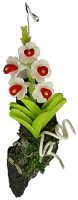 (image for) Hanging Orchid-Red and White