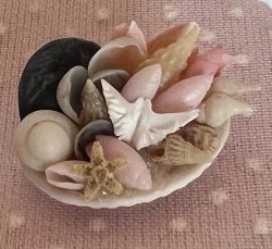 (image for) Bowl of sea shells