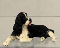 (image for) Spaniel, Black and White Lying