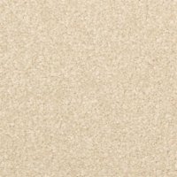 (image for) Light Tan Carpet 20" x 14"
