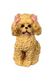(image for) Poodle