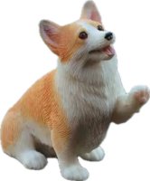 (image for) Corgi Paw Up