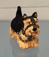 (image for) Yorkshire Terrier