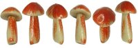 (image for) Natural Colored Mushrooms