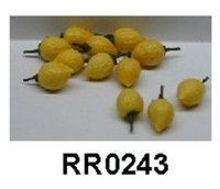 Lemons (12)