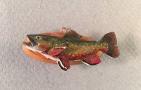 (image for) Mounted Brook Trout