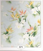 (image for) Orchids 571