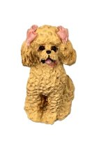 (image for) Poodle