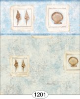 (image for) Seashell Map - Blue - 1201