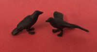 (image for) Set of Crows