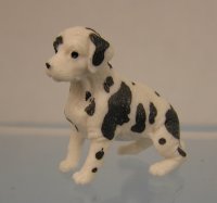 (image for) Dalmation with Heavy Spots