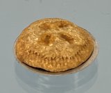 Pie in pie tin (image for) Pie in pie tin