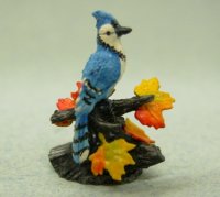 (image for) Autumn Blue Jay