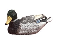 (image for) Mallard Duck one