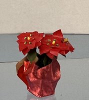 (image for) Red Poinsettia in Foil Wrapped Terracotta pot