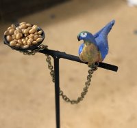 (image for) Parrot on Stand