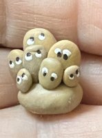 (image for) Pet Rock Family