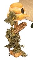 (image for) 1/48" Scale Sunflower Sue Beehive on Stand