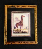 (image for) McBay Print of Giraffe