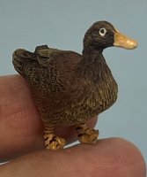 (image for) Duck