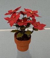 (image for) Poinsettia in Clay Pot