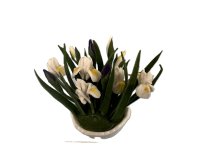 (image for) Iris in a White Bowl